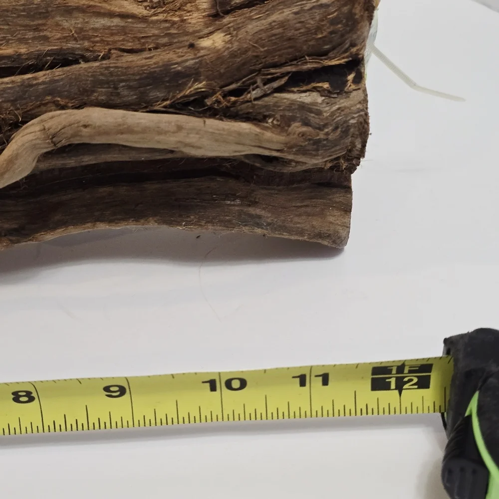 All Living Things Reptile Driftwood